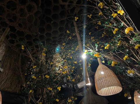 Beluga Cdmx Reservaciones