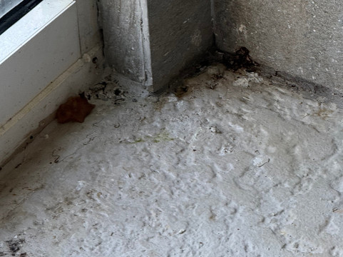 Fairfield Inn & Suites Chicago Naperville主图