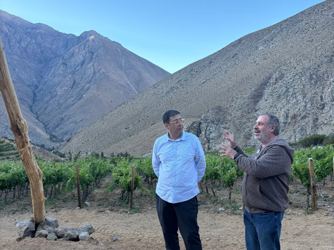 Alcohuaz Vineyards-Coquimbo必去景点