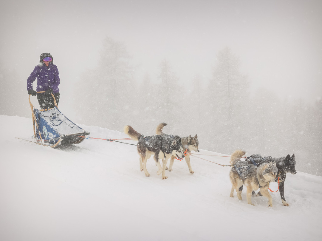 The Husky Experience Sestriere-Sestriere必去景点