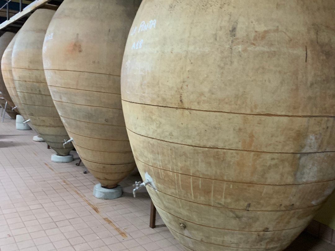Bodegas Y Vinedos PradoRey-Gumiel Del Mercado必去景点