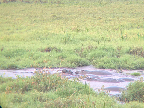 Lucy Ethiopia Tours-亚的斯亚贝巴必去景点