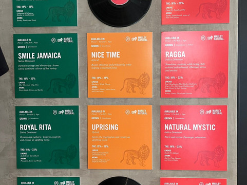 Bob Marley Museum-金斯敦必去景点