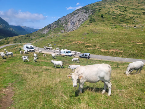 Skycircuitvelo-Saint-Lizier必去景点