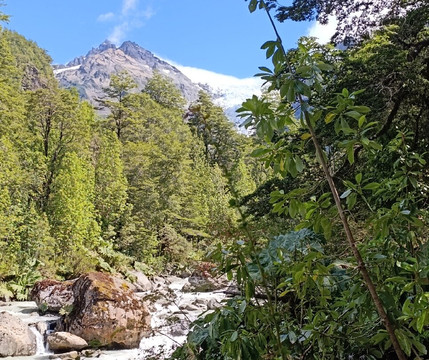 Ventisquero Yelcho-Chaiten必去景点