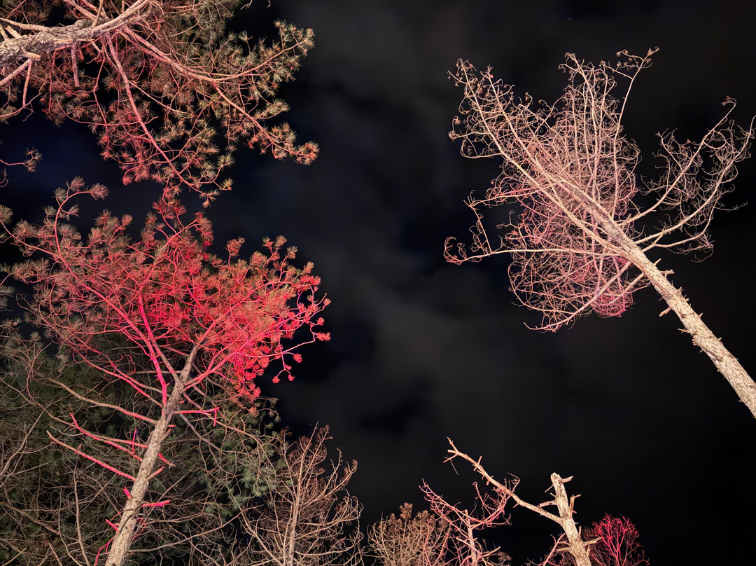 龙圈帐篷营地主图