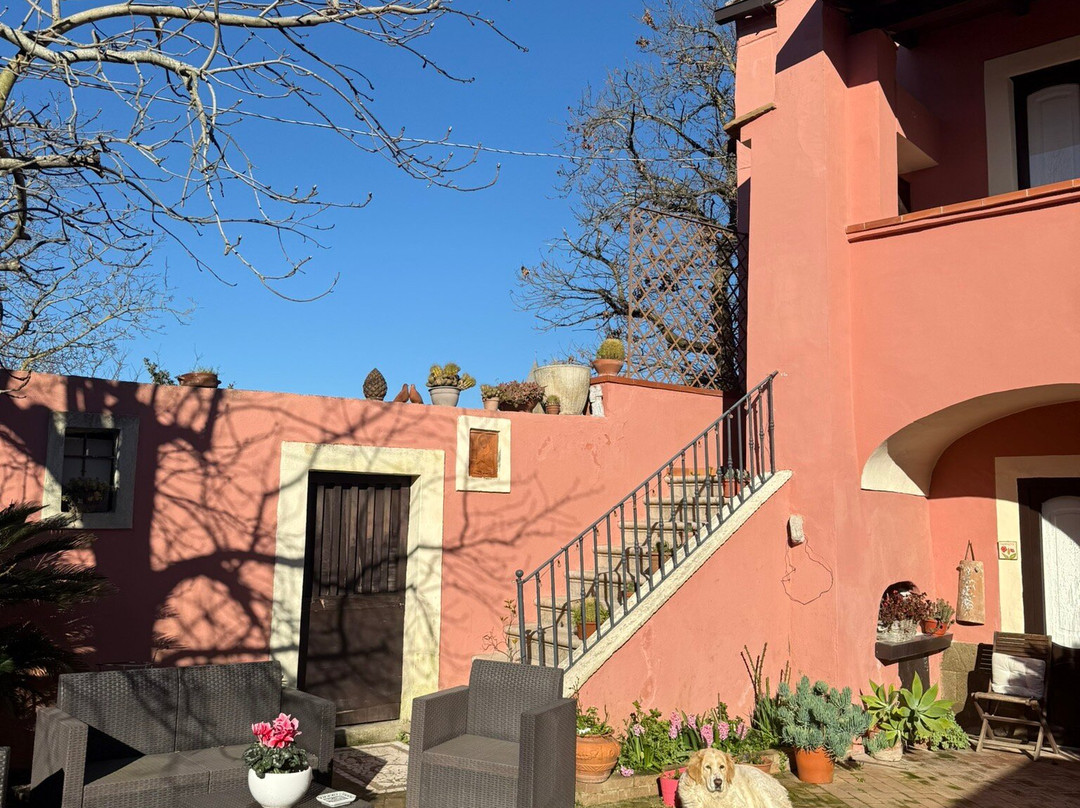 科尔特住宿加早餐旅馆主图