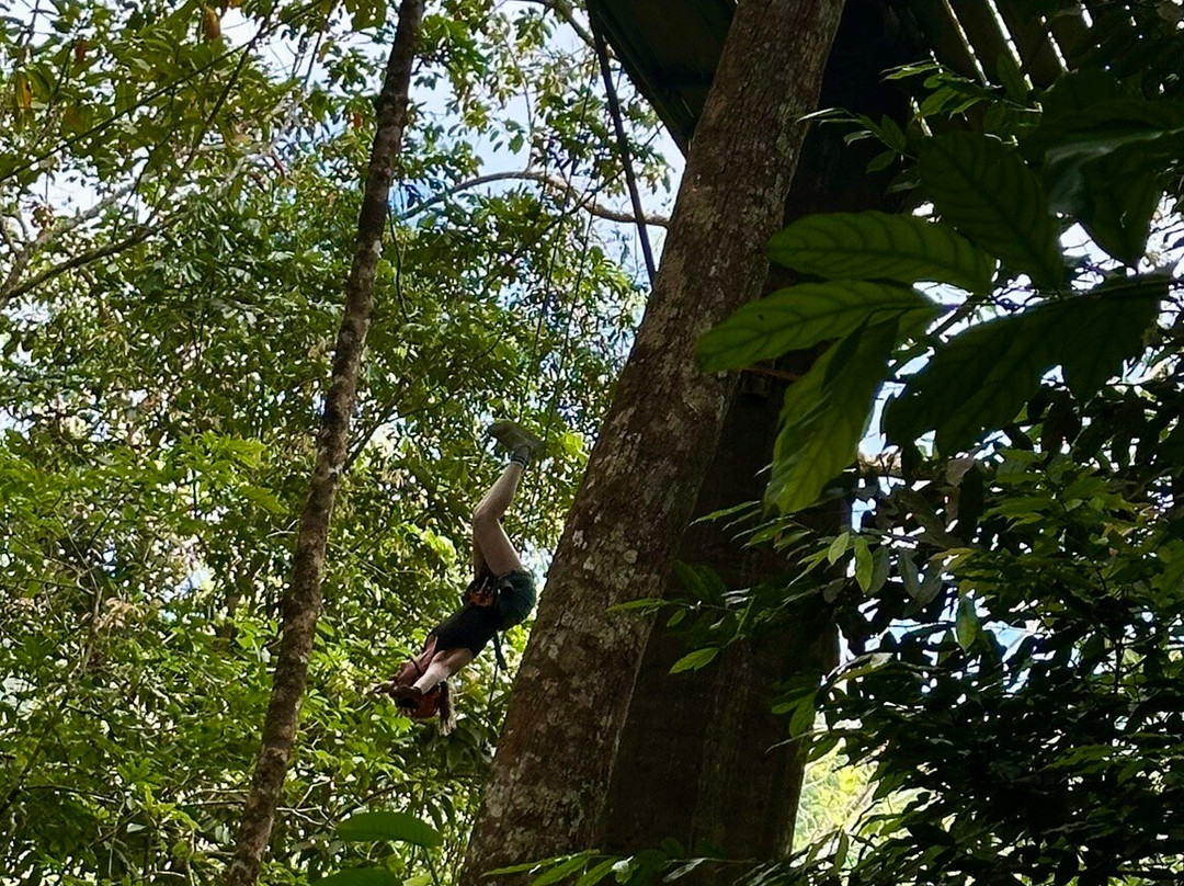 Osa Canopy Tour-鲸城必去景点
