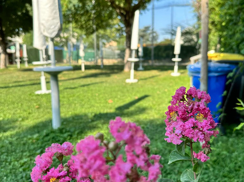 Piscina Clt-特尔尼必去景点