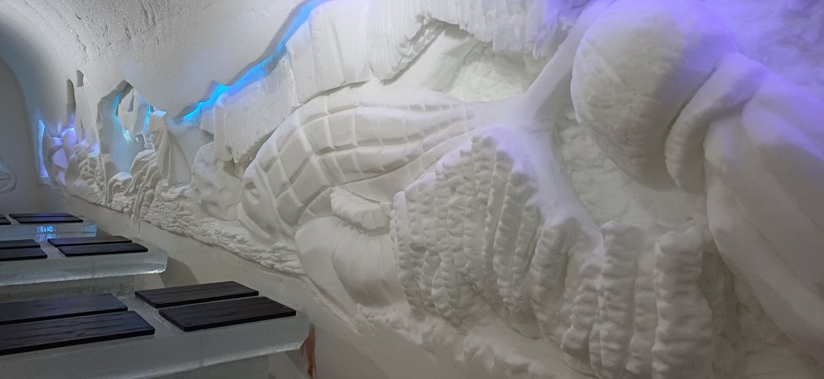 北极雪酒店-官方