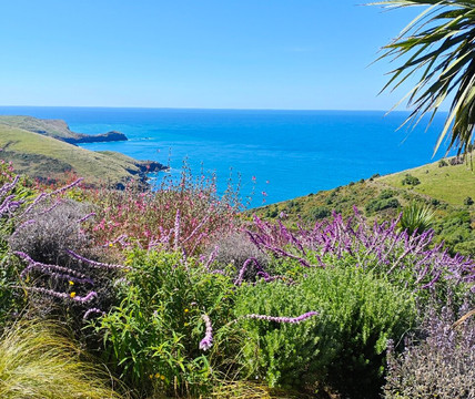 Fishermans Bay Garden-阿卡罗阿必去景点