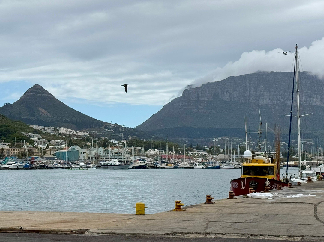 Bay Harbour Market-木湾必去景点