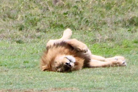 FB Tanzania Expeditions-阿鲁沙必去景点