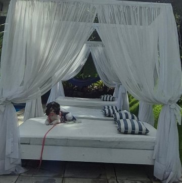 布卡内罗酒店-官方