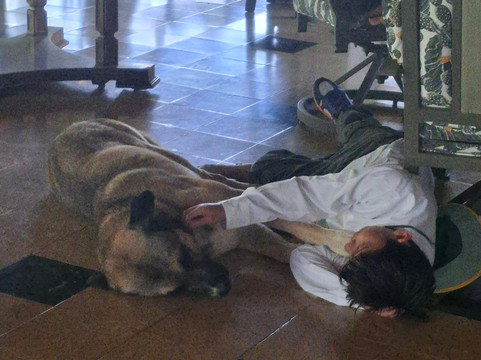 Coquira Soil Project-Chepo必去景点