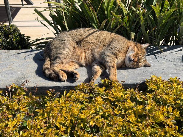 阿坎图斯森尼特巴鲁特精选酒店-超全包式-官方