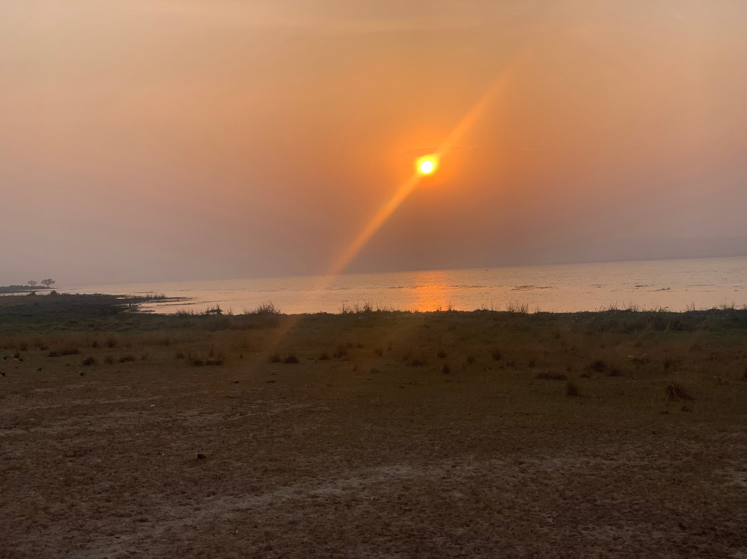 Adventure In The Wild Safaris-坎帕拉必去景点