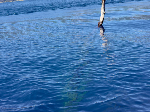 Bosque Sumergido-Villa Traful必去景点
