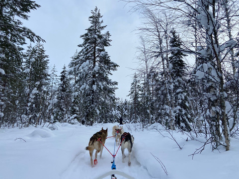 O'Nordic-Posio必去景点