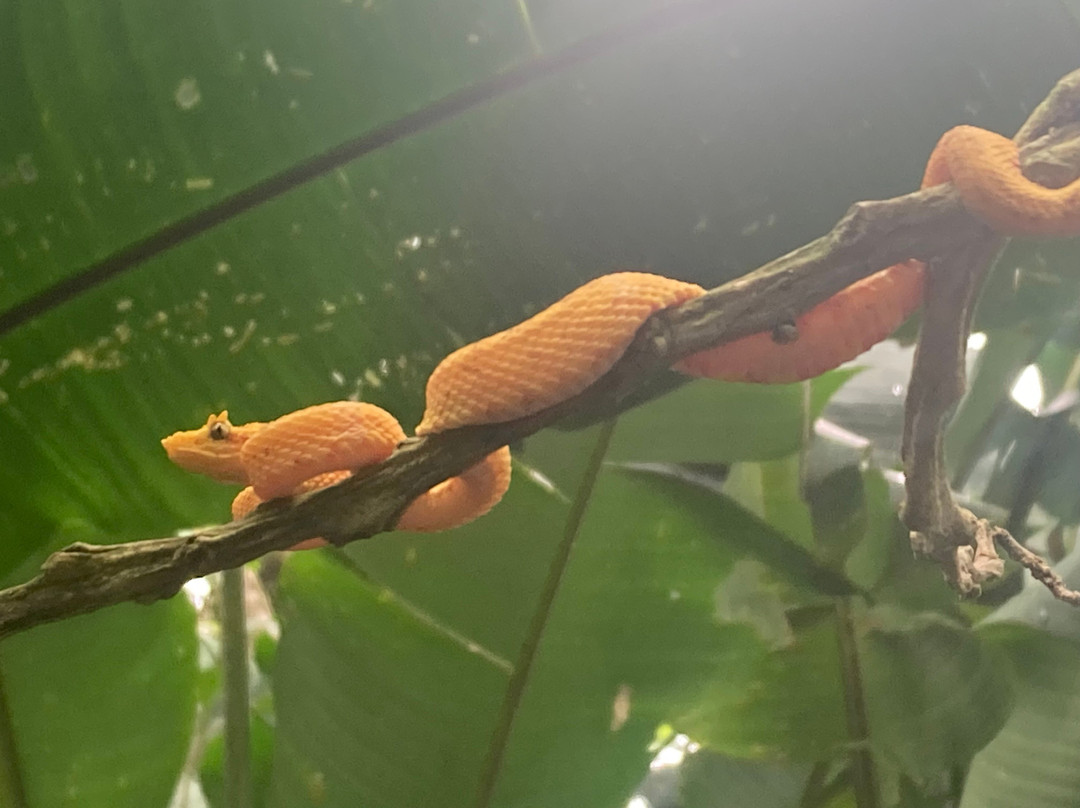 Brother's Adventures Tours-萨迪纳尔必去景点