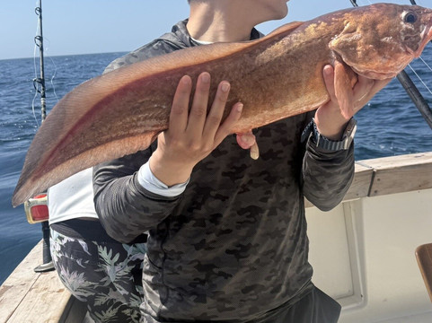 GoSouth Adventures Costa Rica-Gulf of Papagayo必去景点