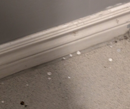 Paradiso Spa-Rigaud必去景点