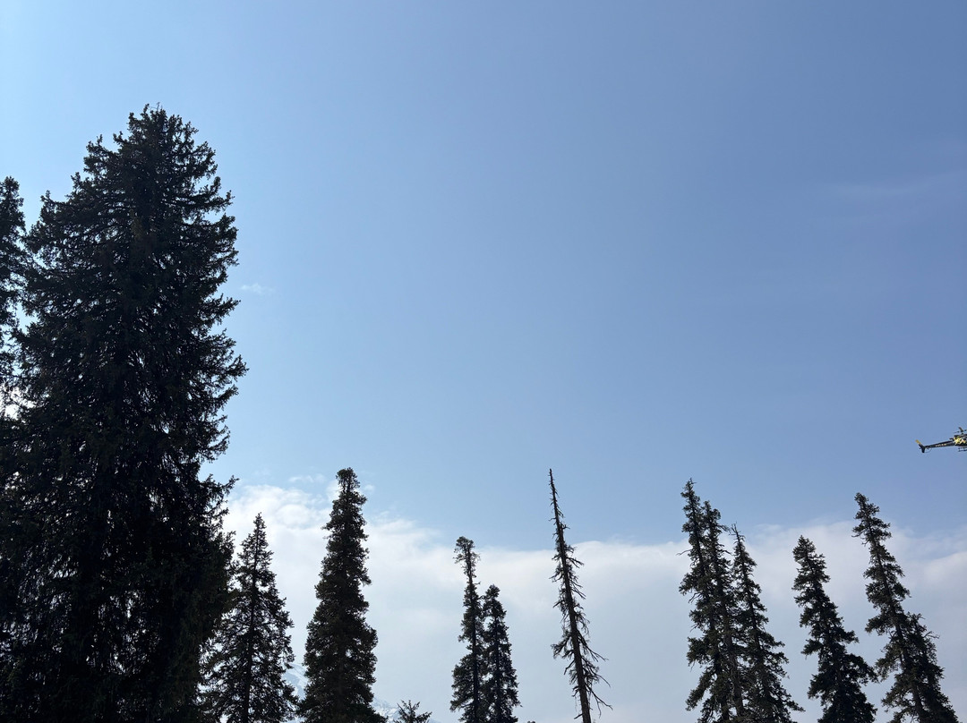 Nishat Tours And Travels-斯利那加必去景点