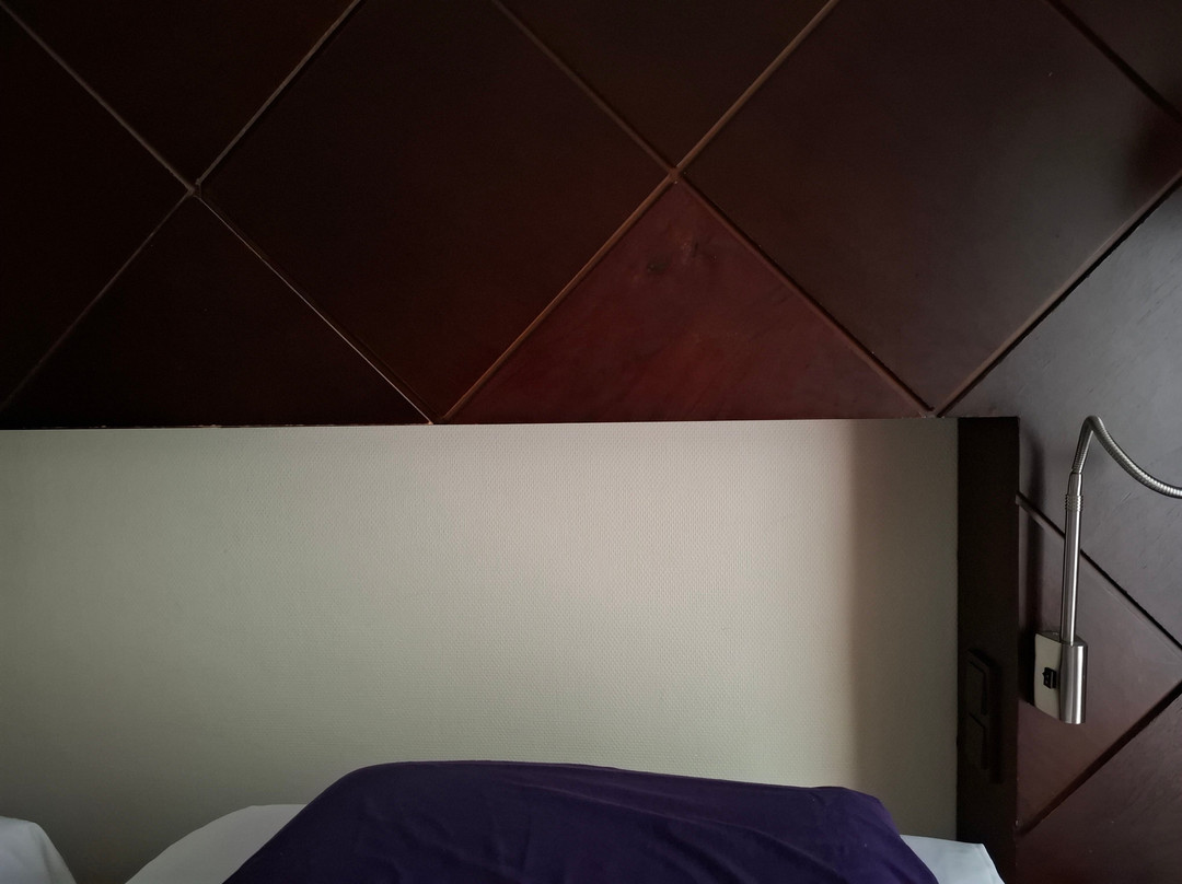 亚格霍斯特 - 爱因荷芬弗莱彻餐厅酒店主图