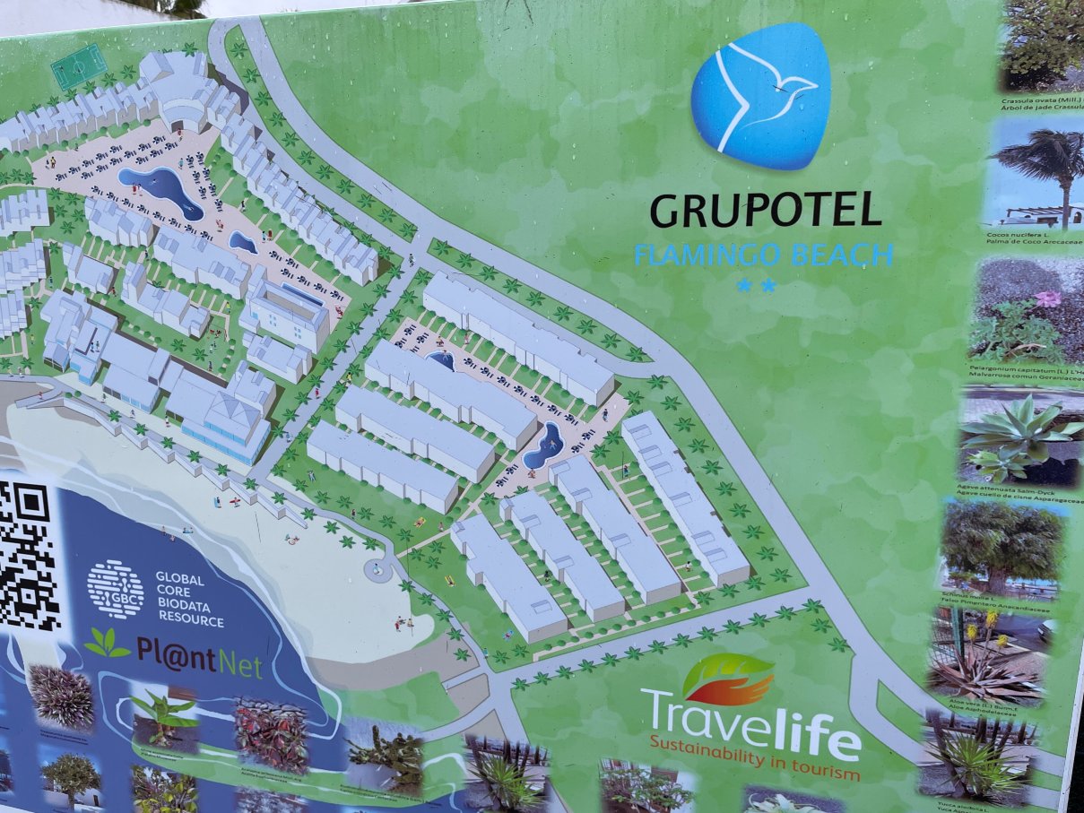 弗拉明戈海滩集团酒店-官方