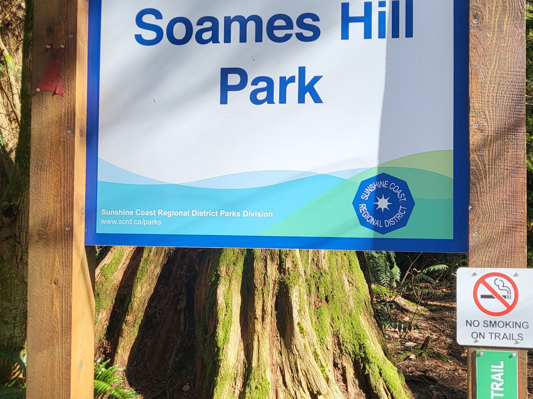 Soames Hill (aka Knob Hill)-吉布森斯必去景点