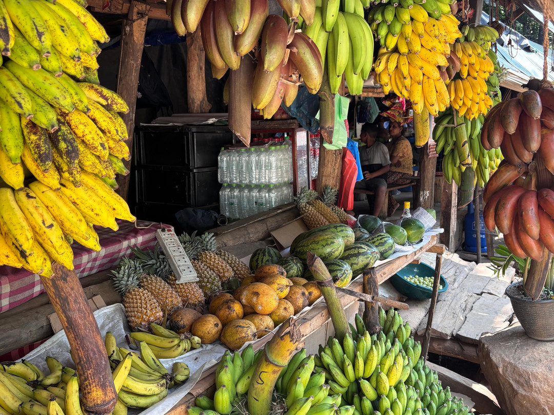Araliya Lanka Tours-因都鲁瓦必去景点