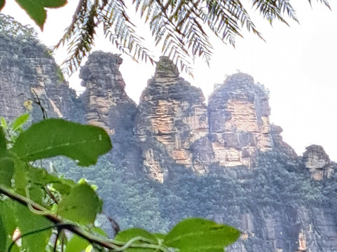 Blue Mountains Tours-格兰布鲁克必去景点