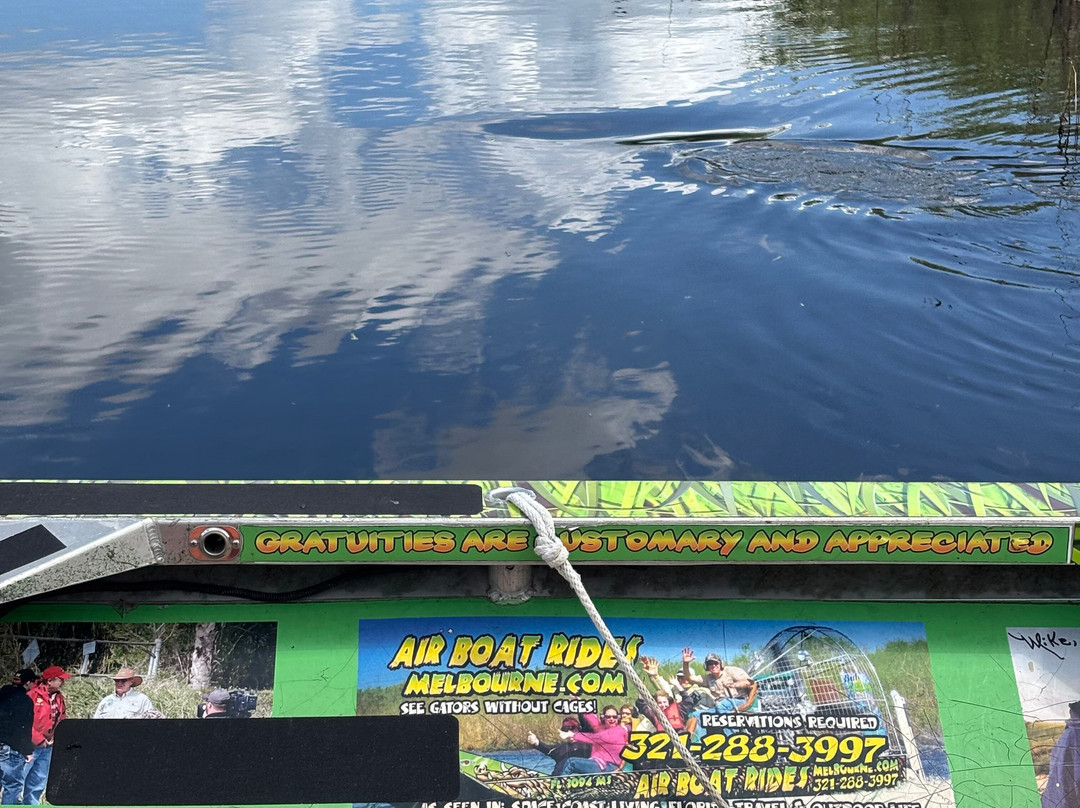 Airboat Rides Melbourne-墨尔本必去景点