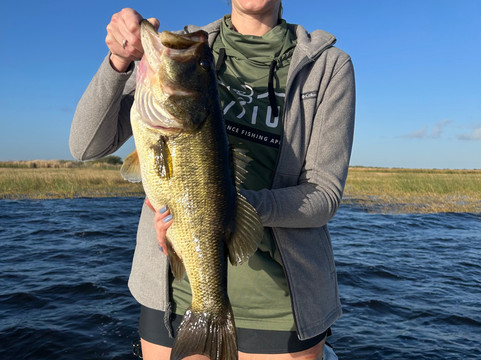 Roland Martin Marina & Resort主图