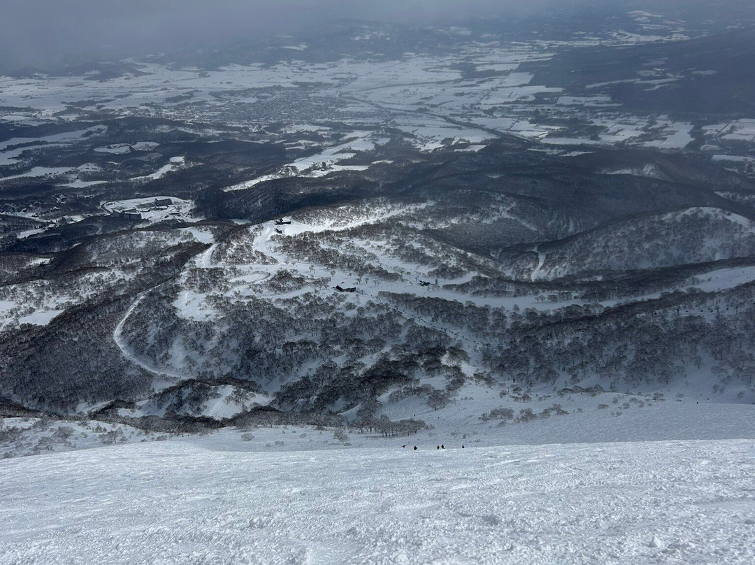 Niseko Tokyu Grand HIRAFU-俱知安町必去景点