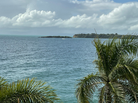 萨马纳巴伊亚普林西比大酒店 - 限成人主图