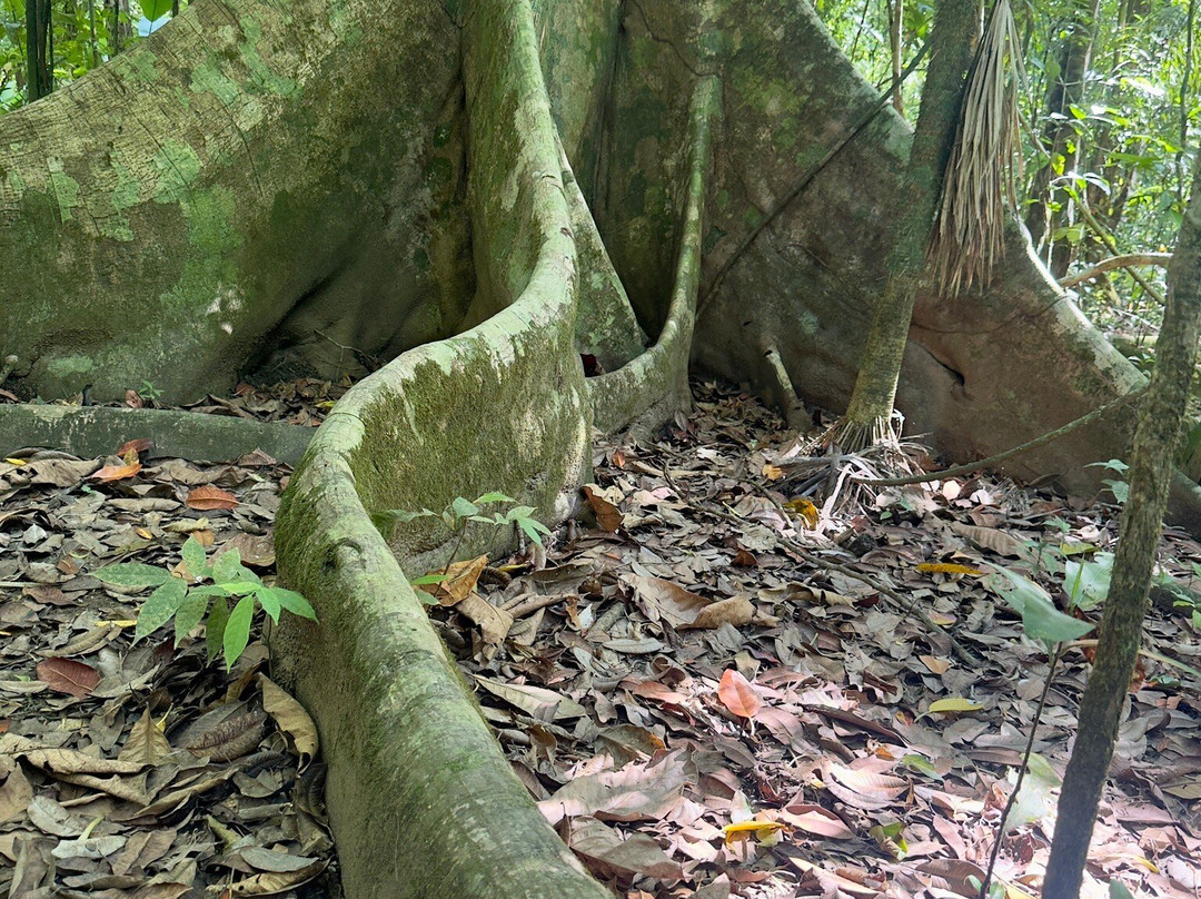Bella Aventura Costa Rica-Santo Domingo de Heredia必去景点
