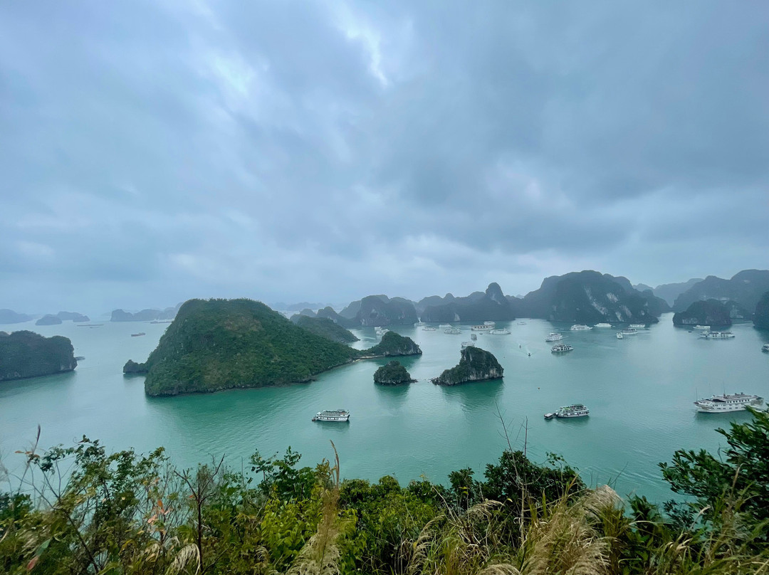 Mila Cruises-下龙湾必去景点