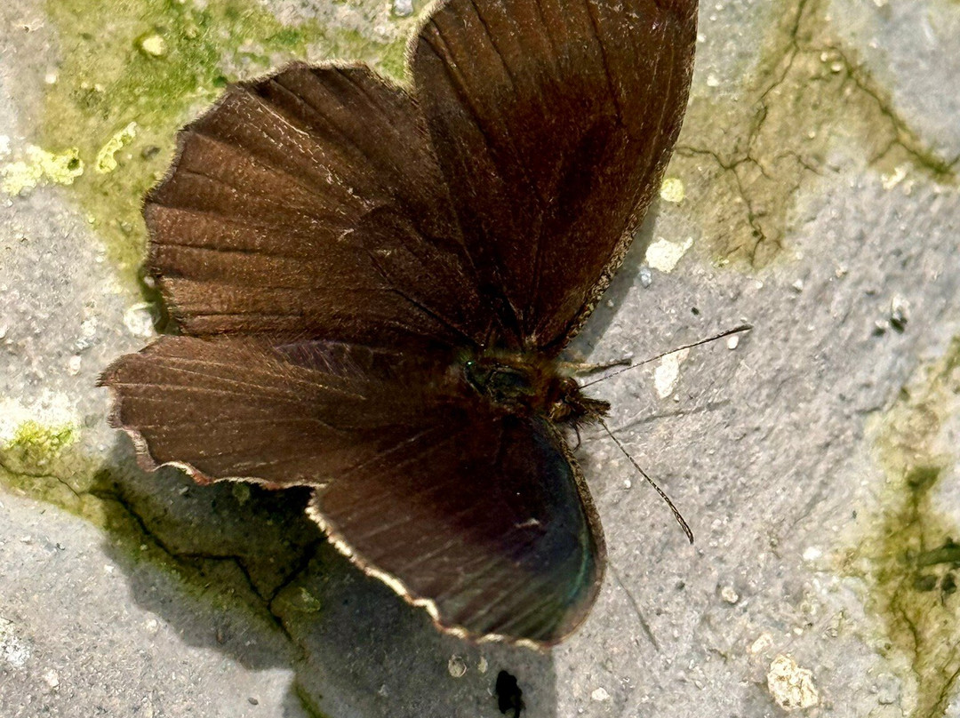 Cascada de  Peguche-Peguche必去景点