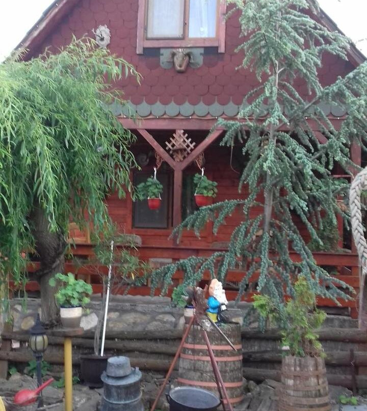 Casa Vladut