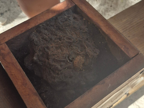 Bee Friendly Conservation Park-考祖梅必去景点