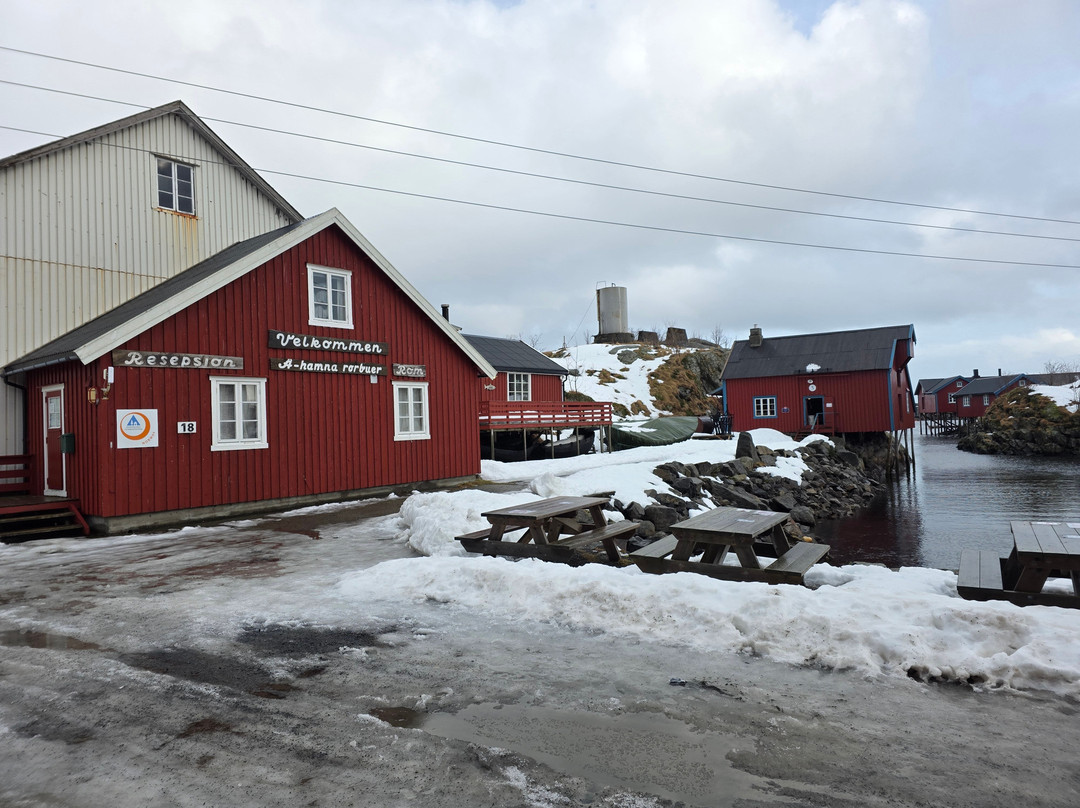 Norwegian Fishing Village Museum-Sorvagen必去景点