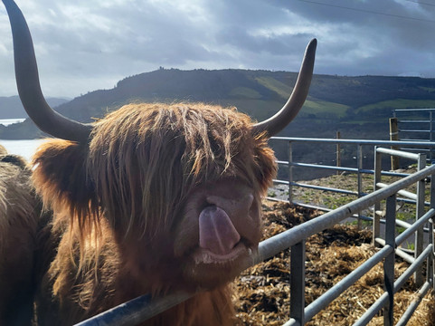 Loch Ness Hub & Travel-德拉姆纳德罗希特必去景点