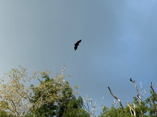 欧坦泰克生态帐篷体验酒店-官方