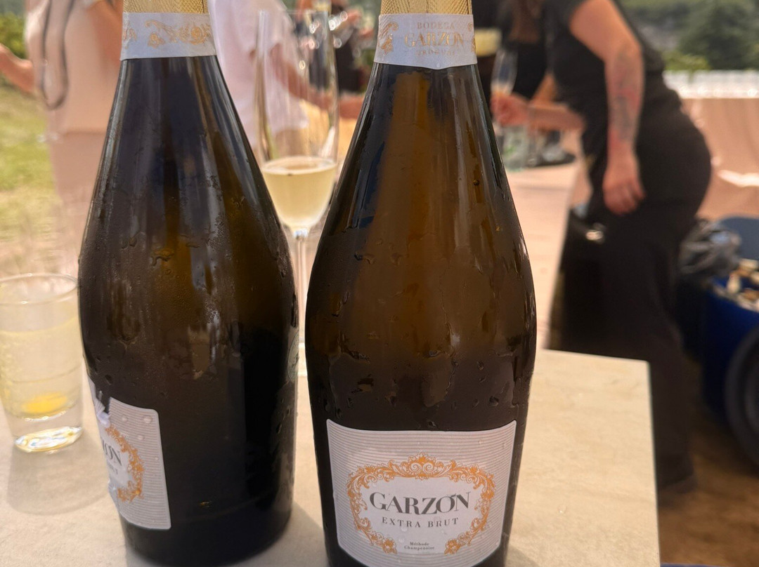 Bodega Garzon-Garzon必去景点