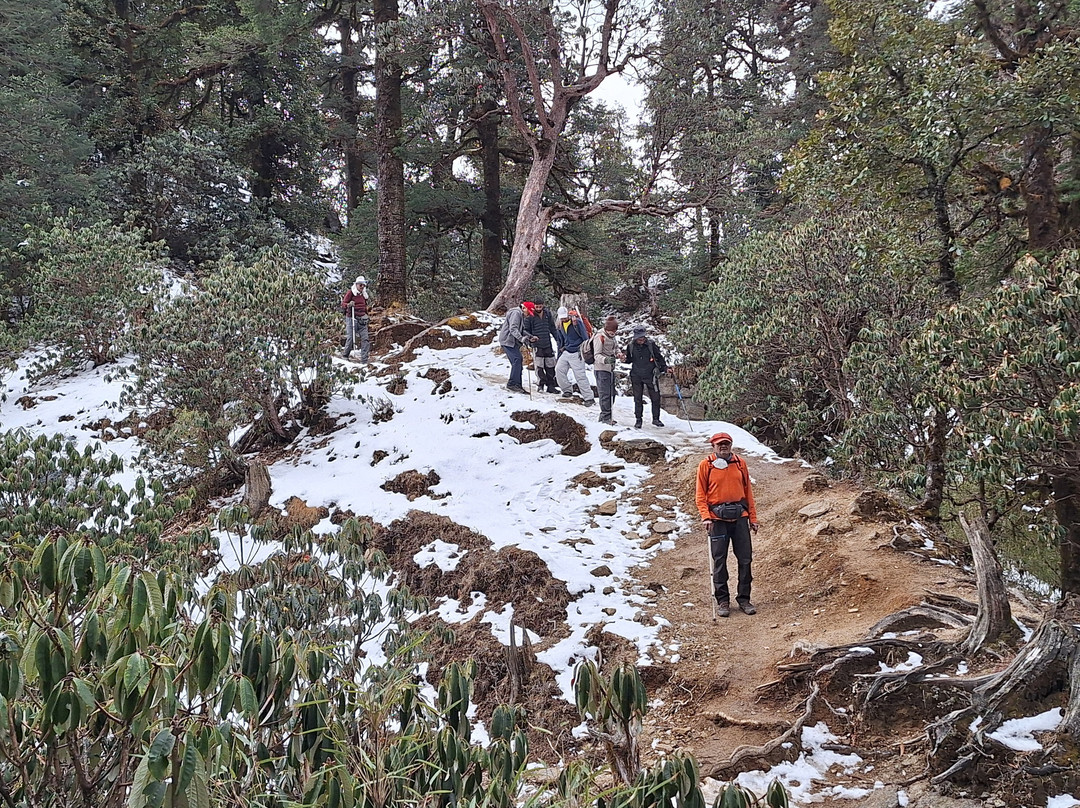 Himalaya Shelter-阿姆利则必去景点