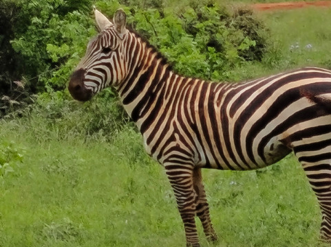 Travel Tamaro Adventures-迪亚尼必去景点