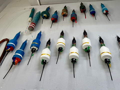 Centro de Conservación de Manatíes de Puerto Rico-Bayamon必去景点