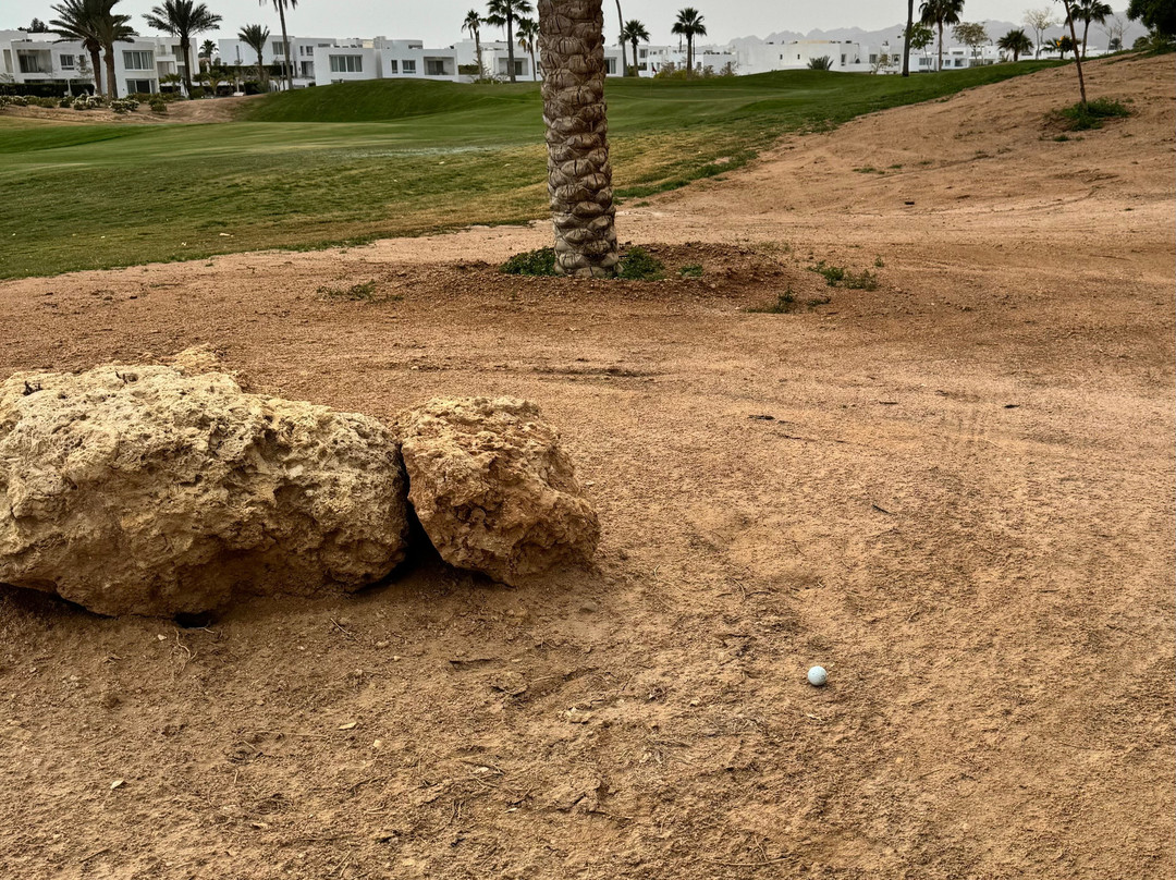 Pickalbatros Golf Course-沙姆沙伊赫必去景点