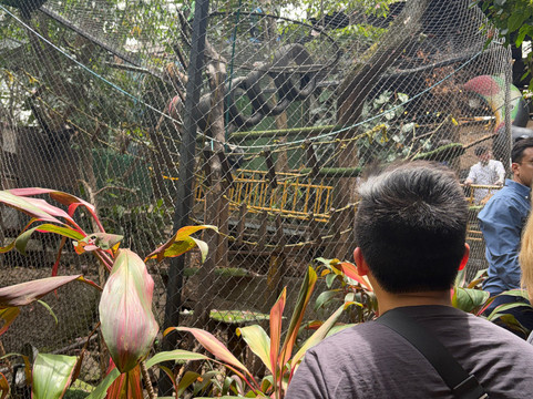 Refugio Animal De Costa Rica-圣安娜必去景点